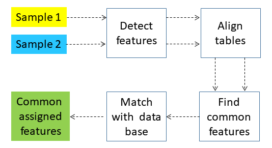 untargeted workflow